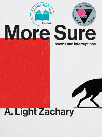 More Sure - Poems and Interruptions